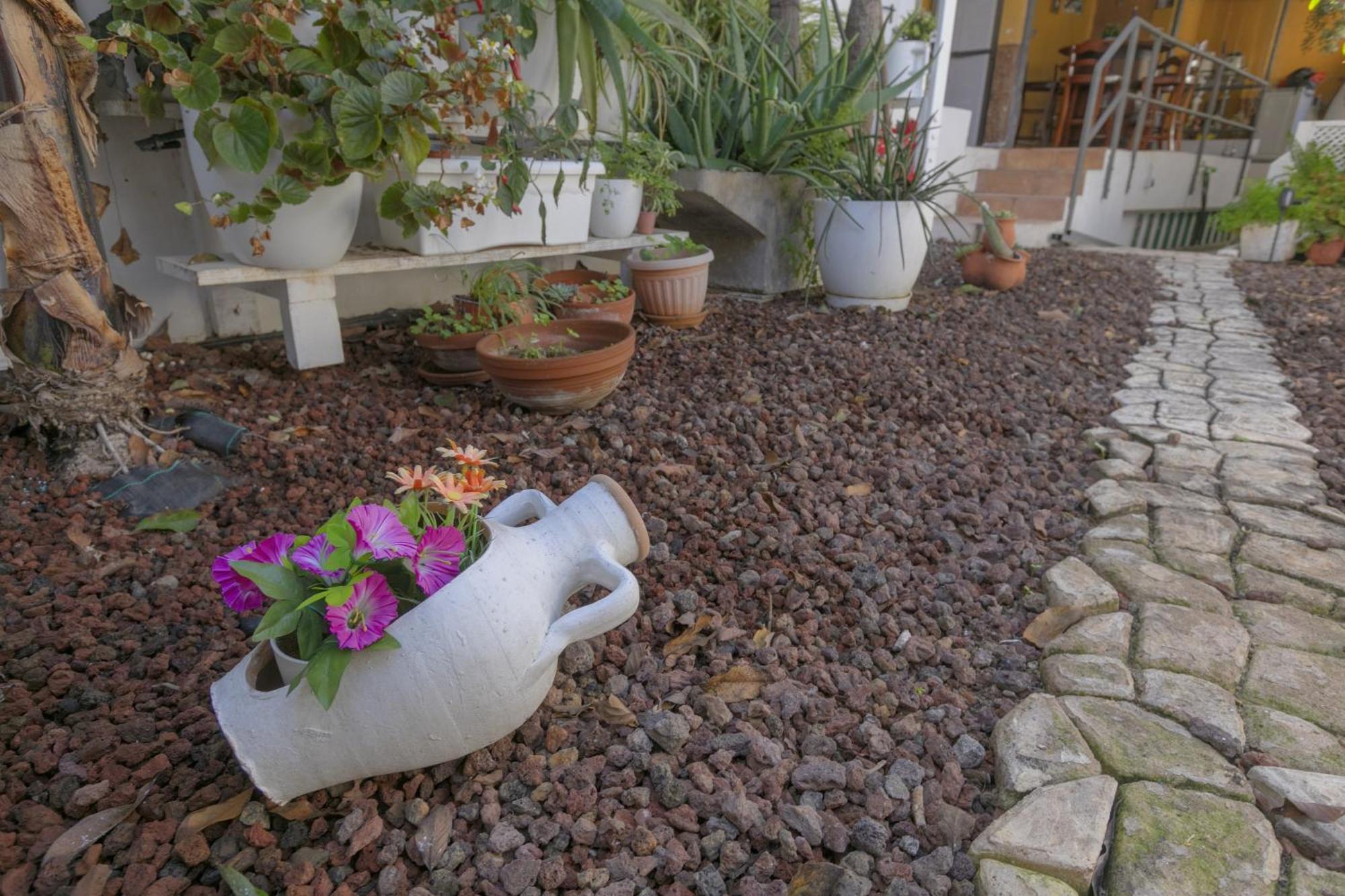 Loft Cerca Del Mar Tenerife Punta Del Hidalgo Esterno foto